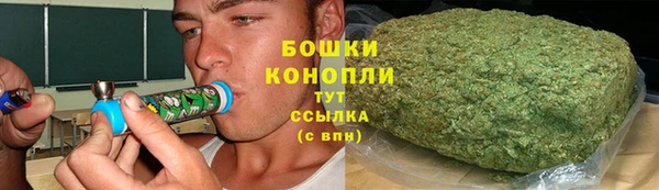 индика Зерноград