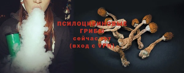 индика Зерноград