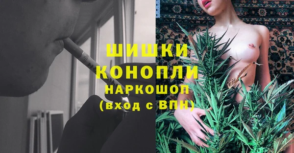 индика Зерноград