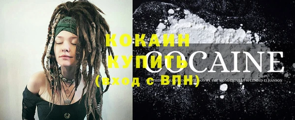 индика Зерноград