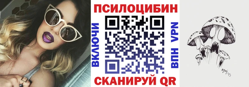 Псилоцибиновые грибы мицелий  продажа наркотиков  Новый Оскол 